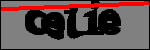 متن برای شناسایی