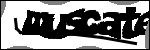 متن برای شناسایی